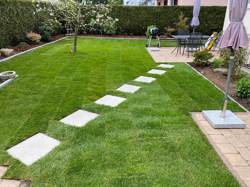 Professionelle Gartenpflege in Essen und Umgebung