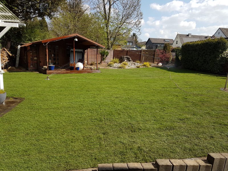 Garten mit gepflegter Hecke, Rasen und Gartenhaus in Essen