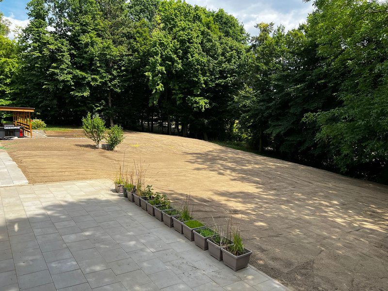 Neu gepflanzte Hecke entlang einer Kiesfläche in Essen