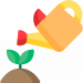 plant plant